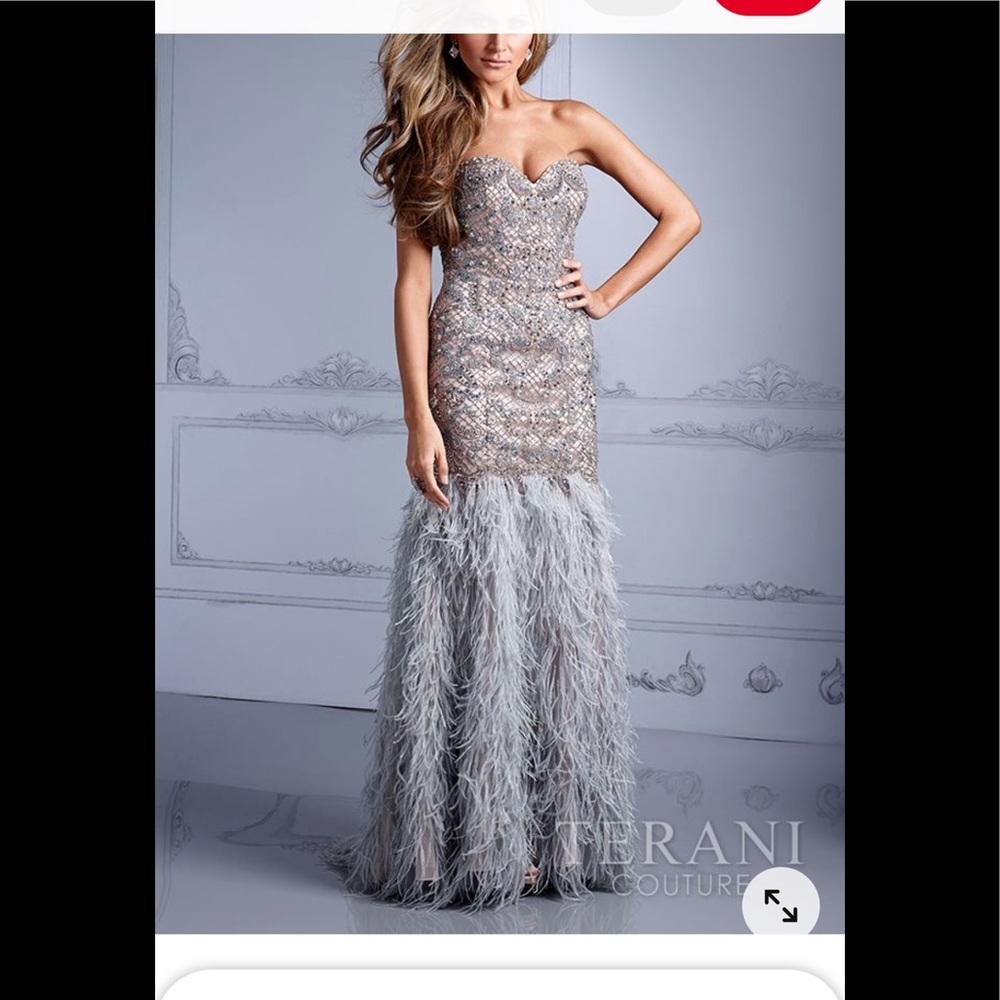 Stunningly gorgeous Terani dress